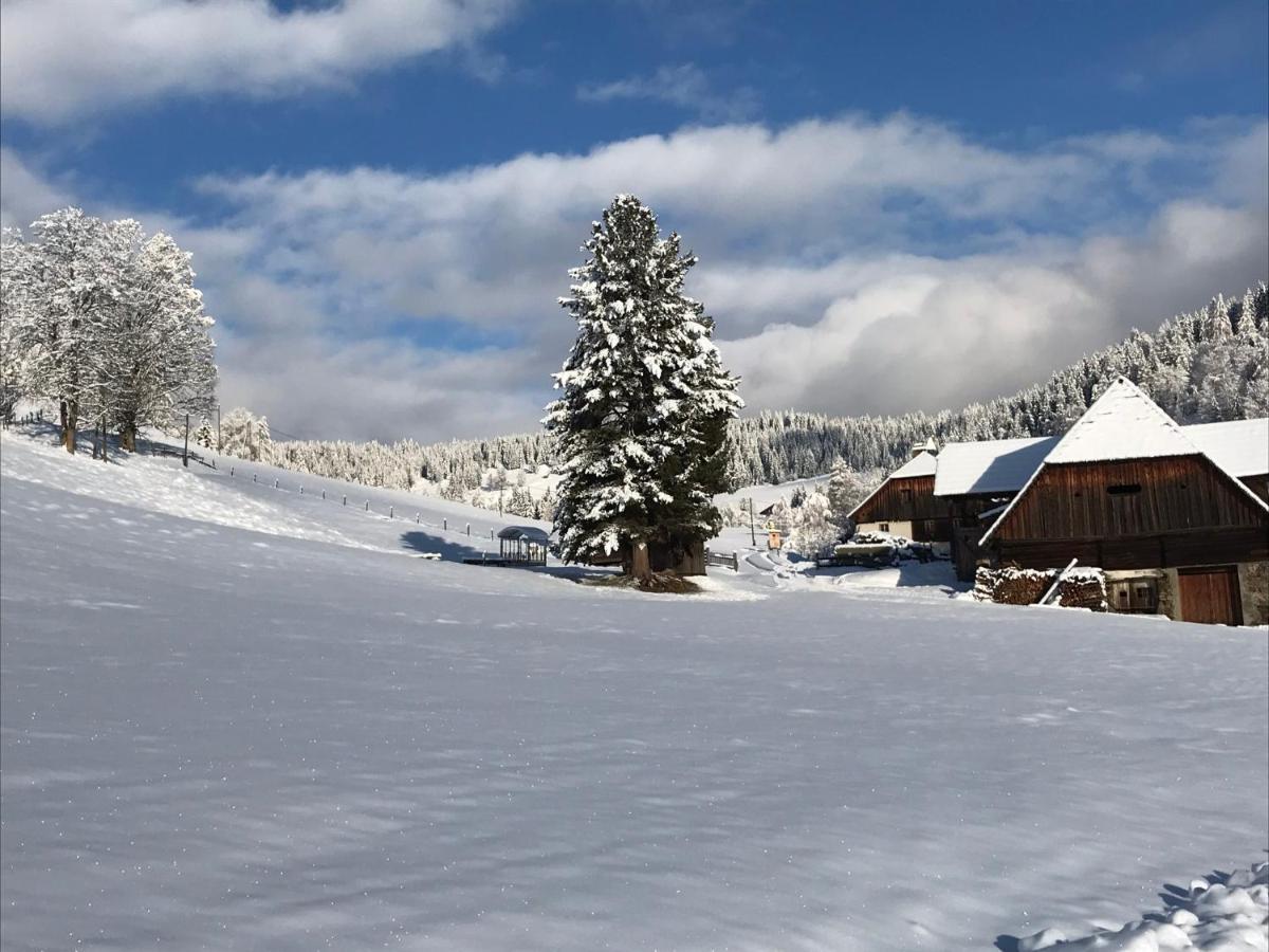 Wohlfuehlpension Kreischberg Inklusive Murau Sommergaestecard Ab 2 Naechte Sankt Georgen ob Murau Zewnętrze zdjęcie