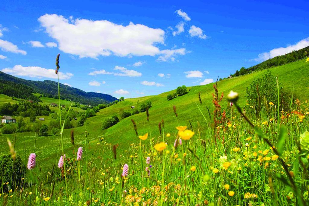 Wohlfuehlpension Kreischberg Inklusive Murau Sommergaestecard Ab 2 Naechte Sankt Georgen ob Murau Zewnętrze zdjęcie